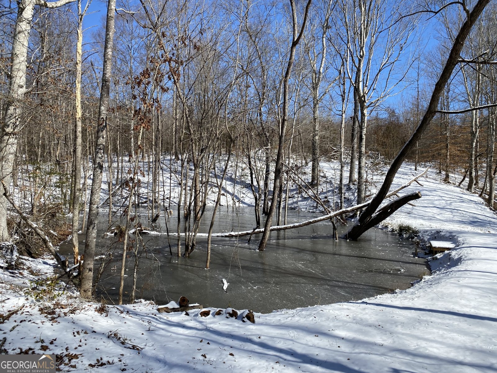 299 Scott Lane Pelzer - Photo 72