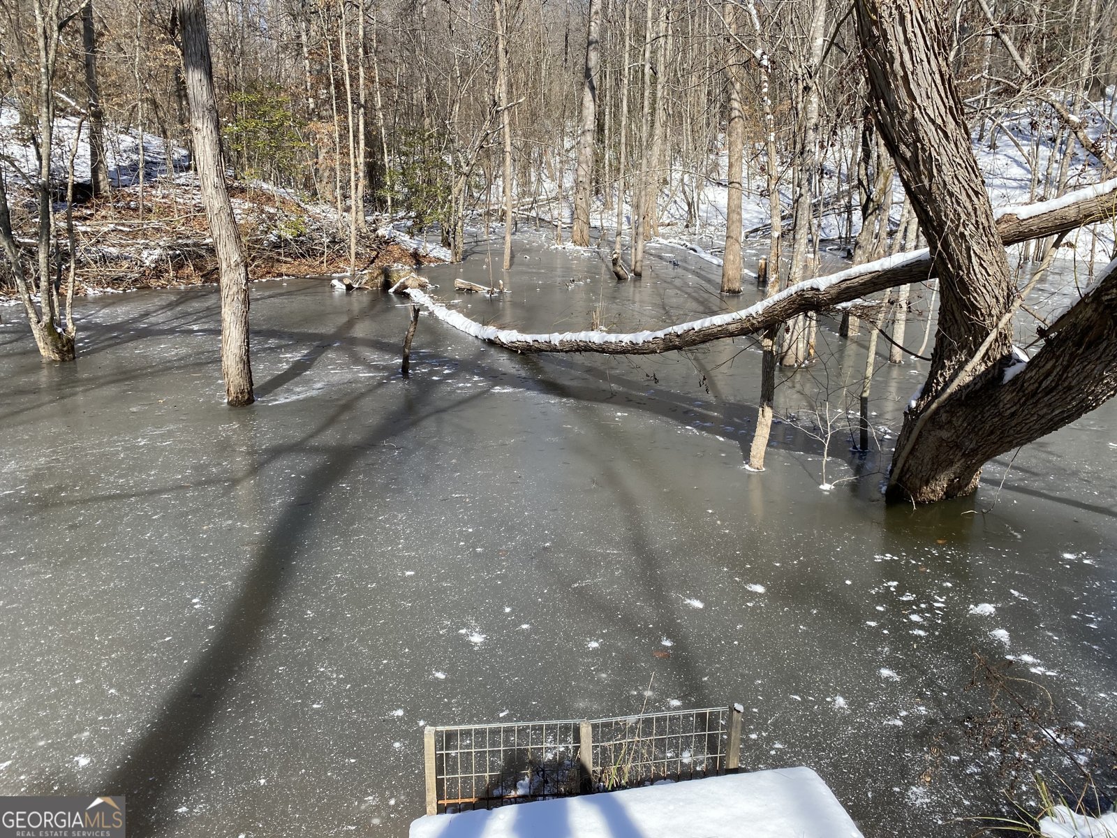 299 Scott Lane Pelzer - Photo 73