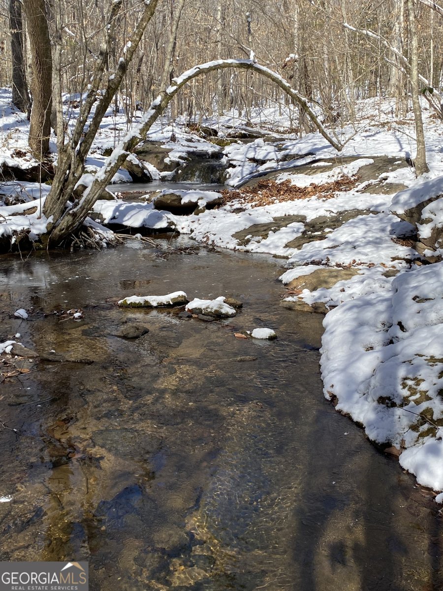 299 Scott Lane Pelzer - Photo 74