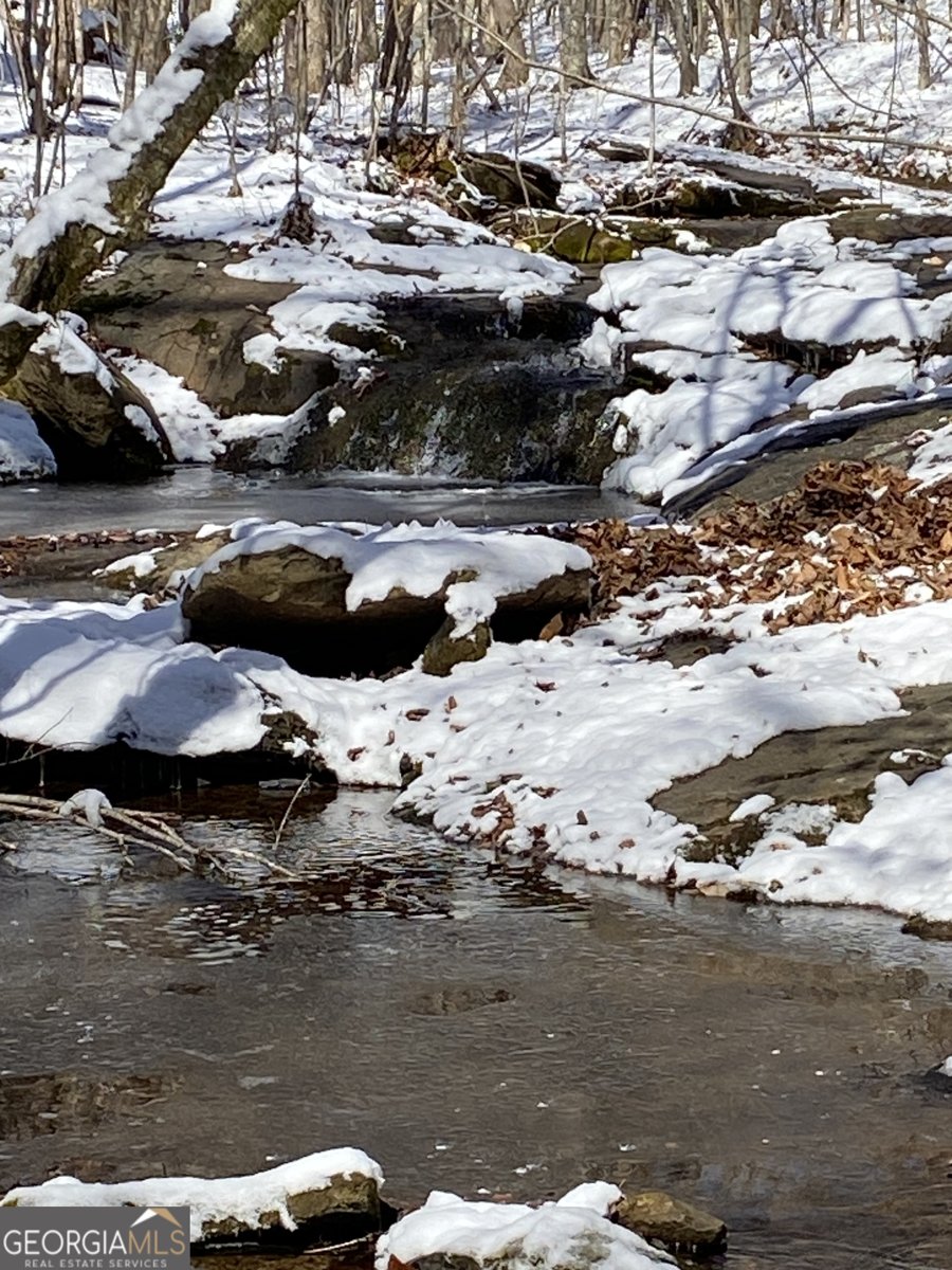 299 Scott Lane Pelzer - Photo 75