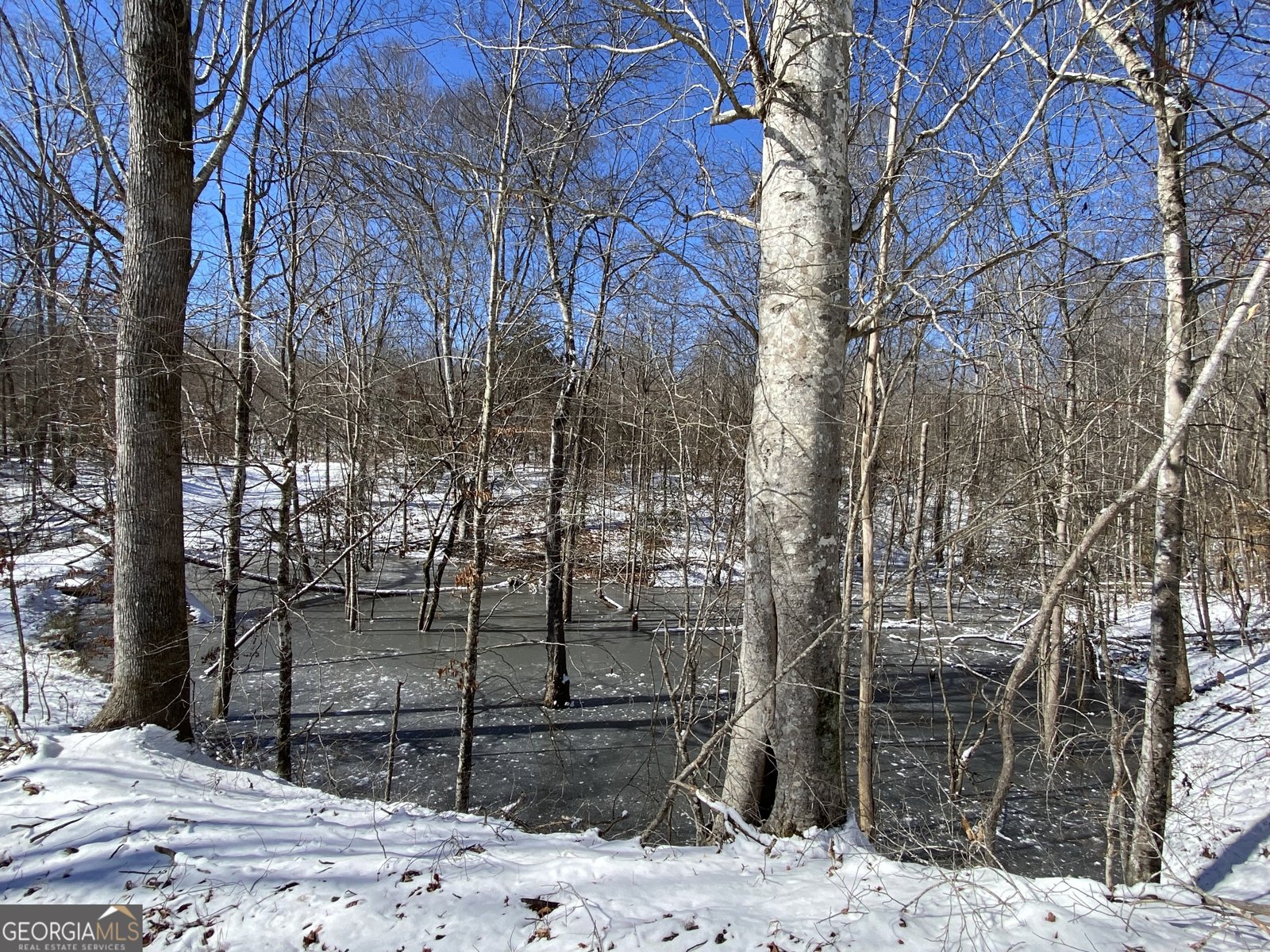 299 Scott Lane Pelzer - Photo 76