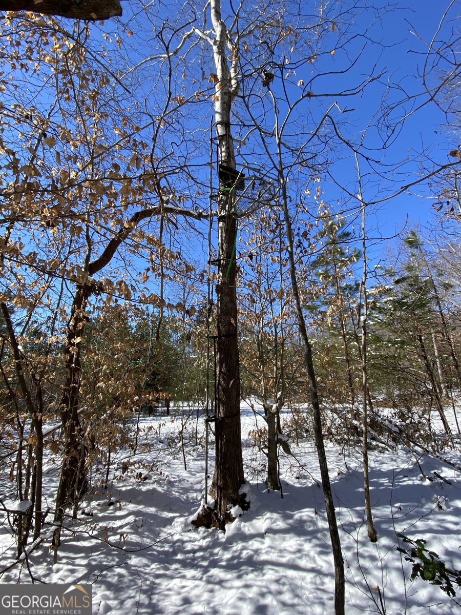 299 Scott Lane Pelzer - Photo 77