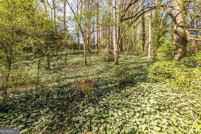 868 Scott Circle Decatur - Photo 61