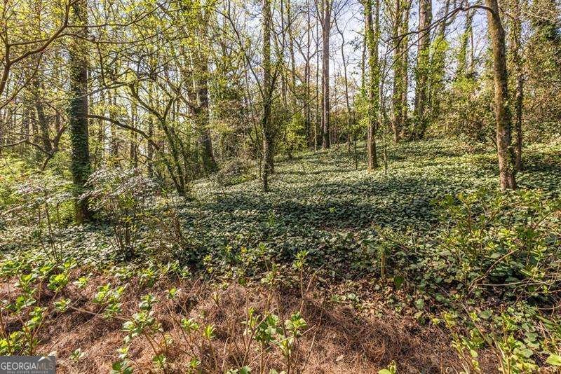 868 Scott Circle Decatur - Photo 63