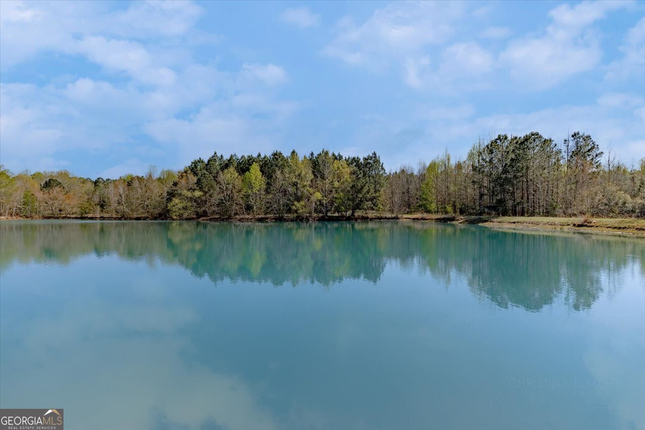 1053 Ga Highway 26 Cochran - Photo 8