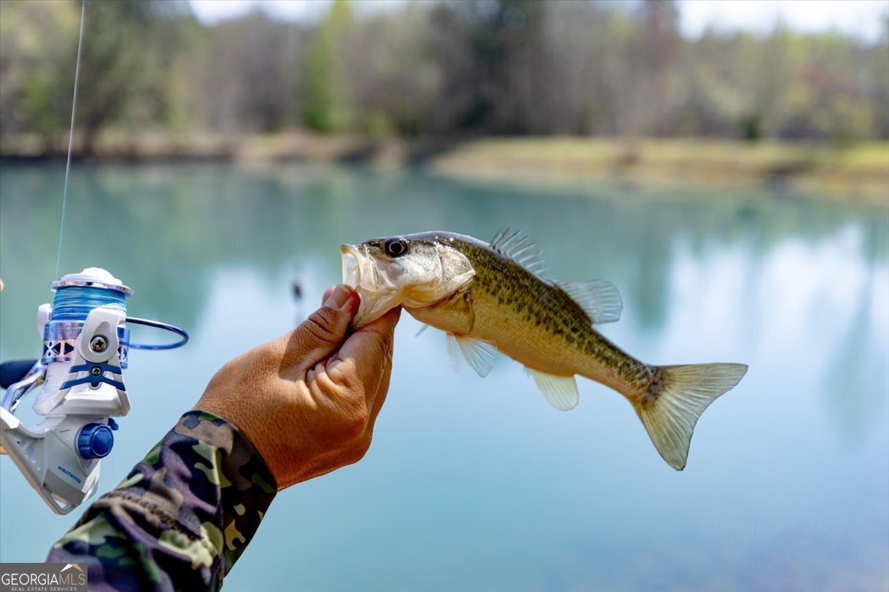 1053 Ga Highway 26 Cochran - Photo 80