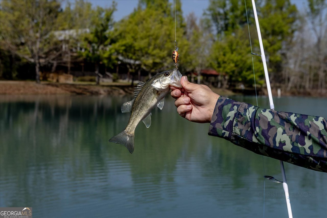 1053 Ga Highway 26 Cochran - Photo 81