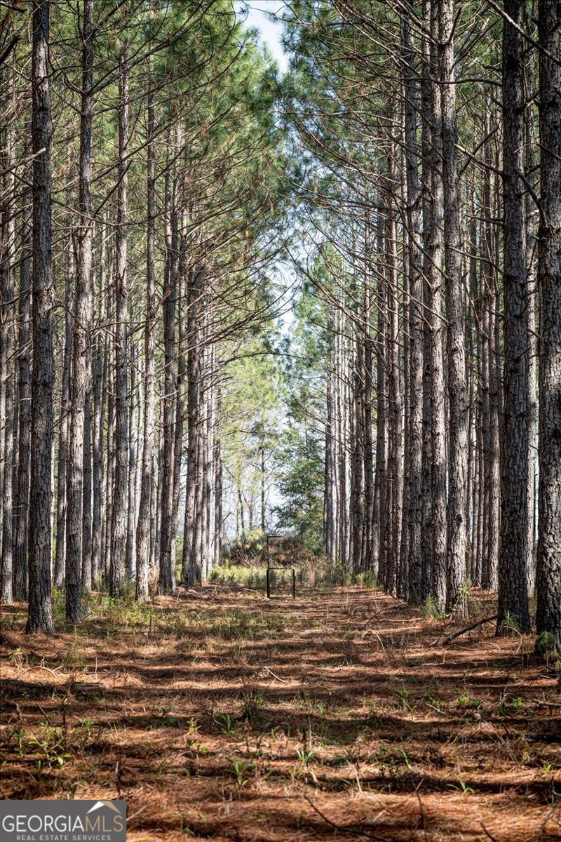 1053 Ga Highway 26 Cochran - Photo 84