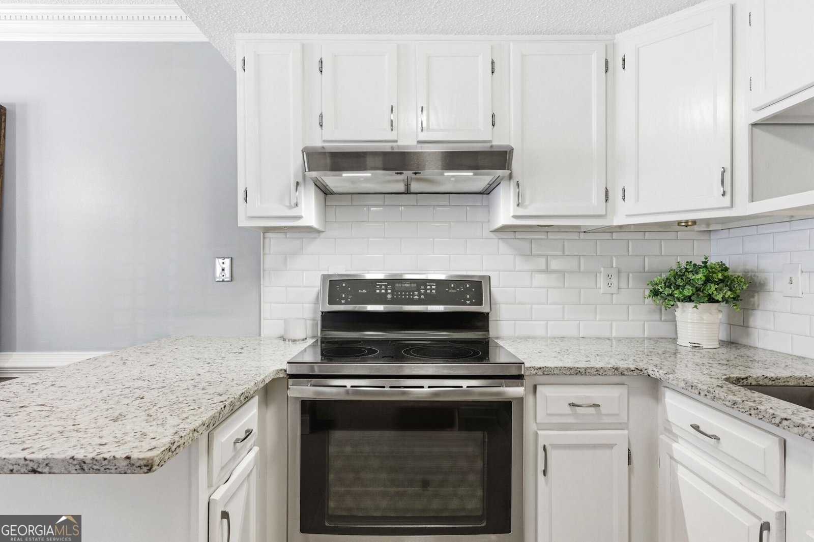 1050 Sasha Lane Roswell - Photo 11