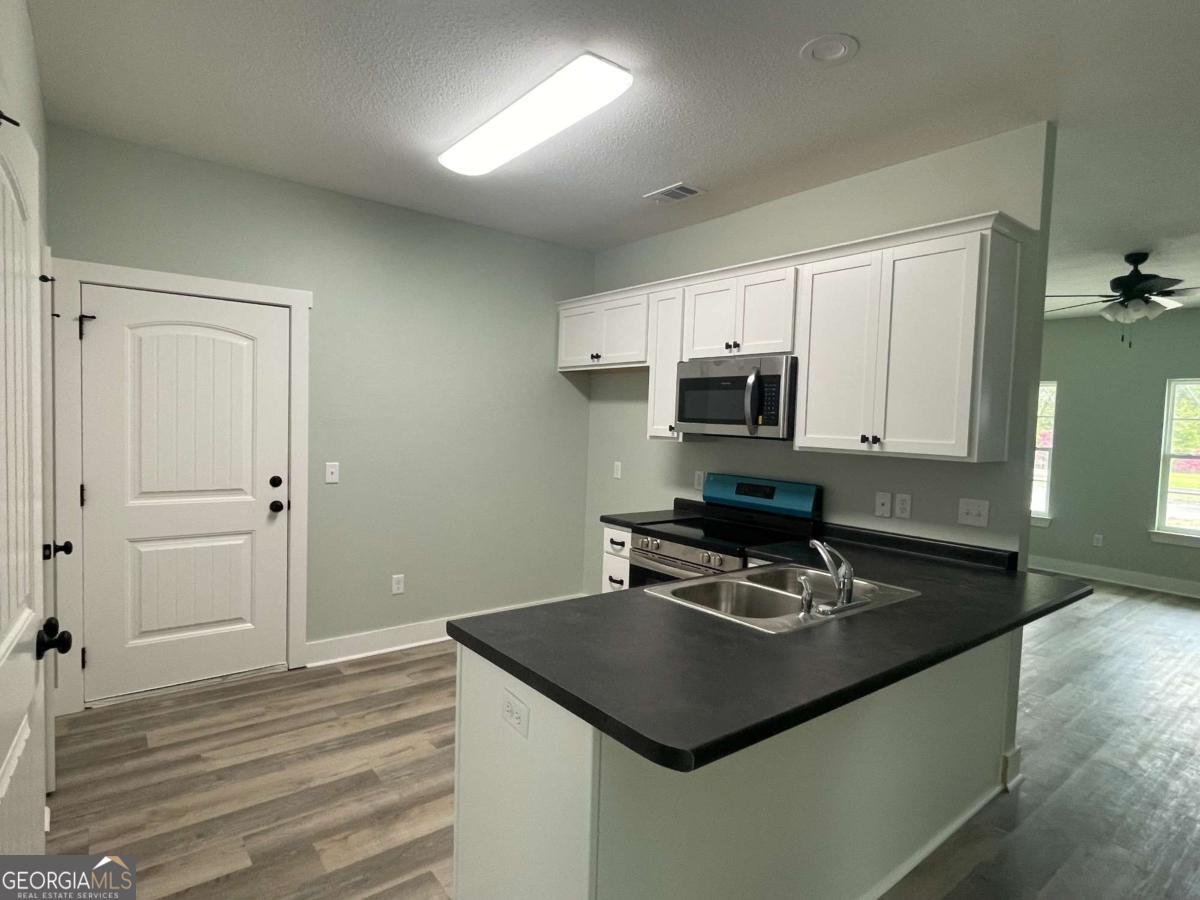 307 Mclean Street Claxton - Photo 6