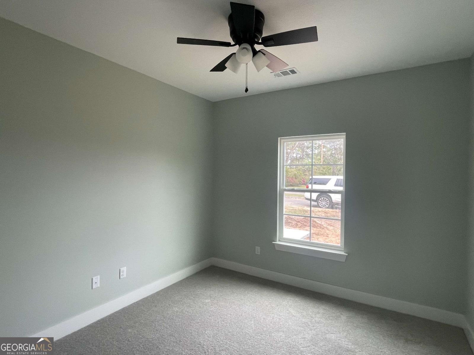 307 Mclean Street Claxton - Photo 9