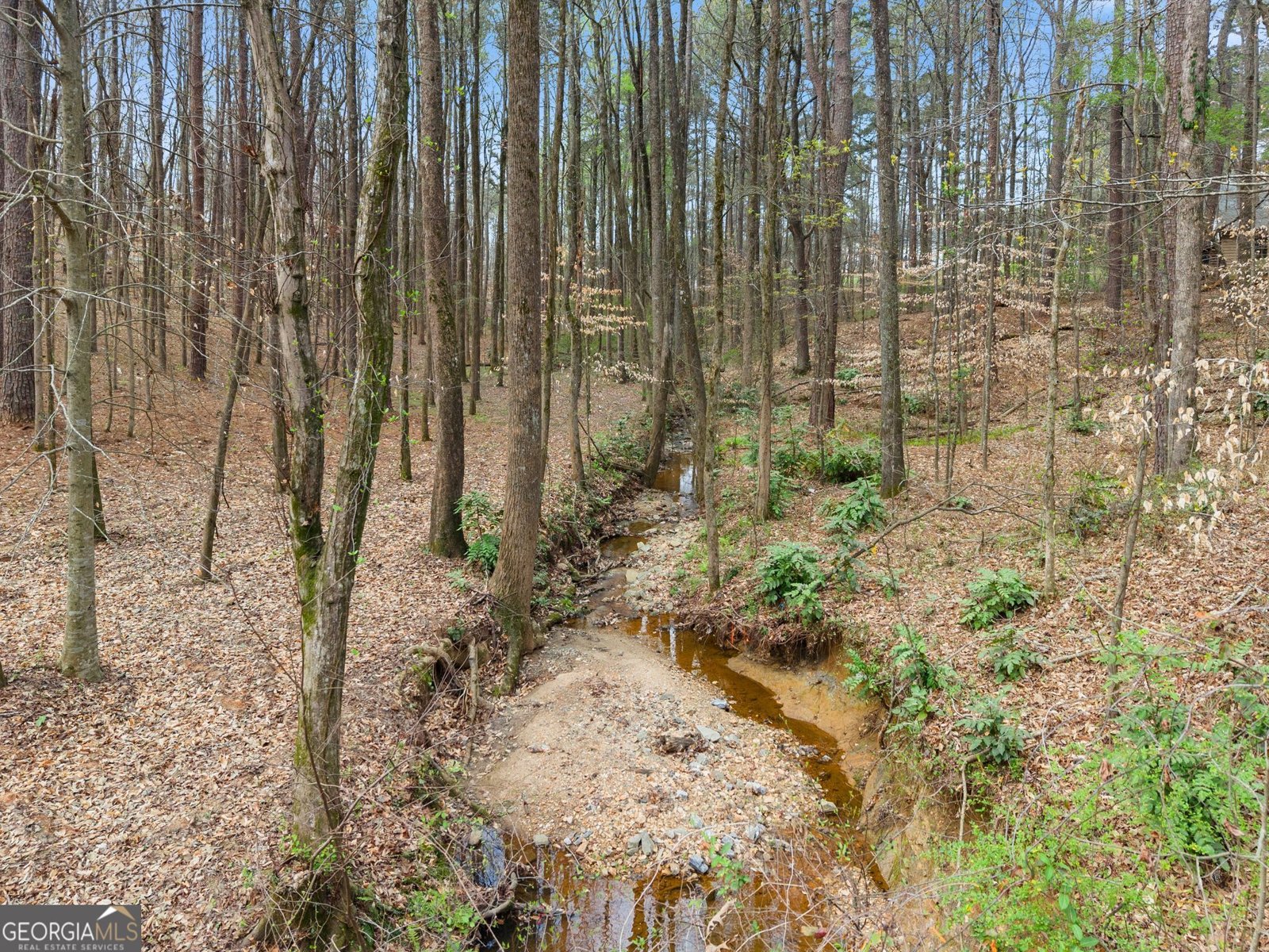 2195 Maddox Road Buford - Photo 76