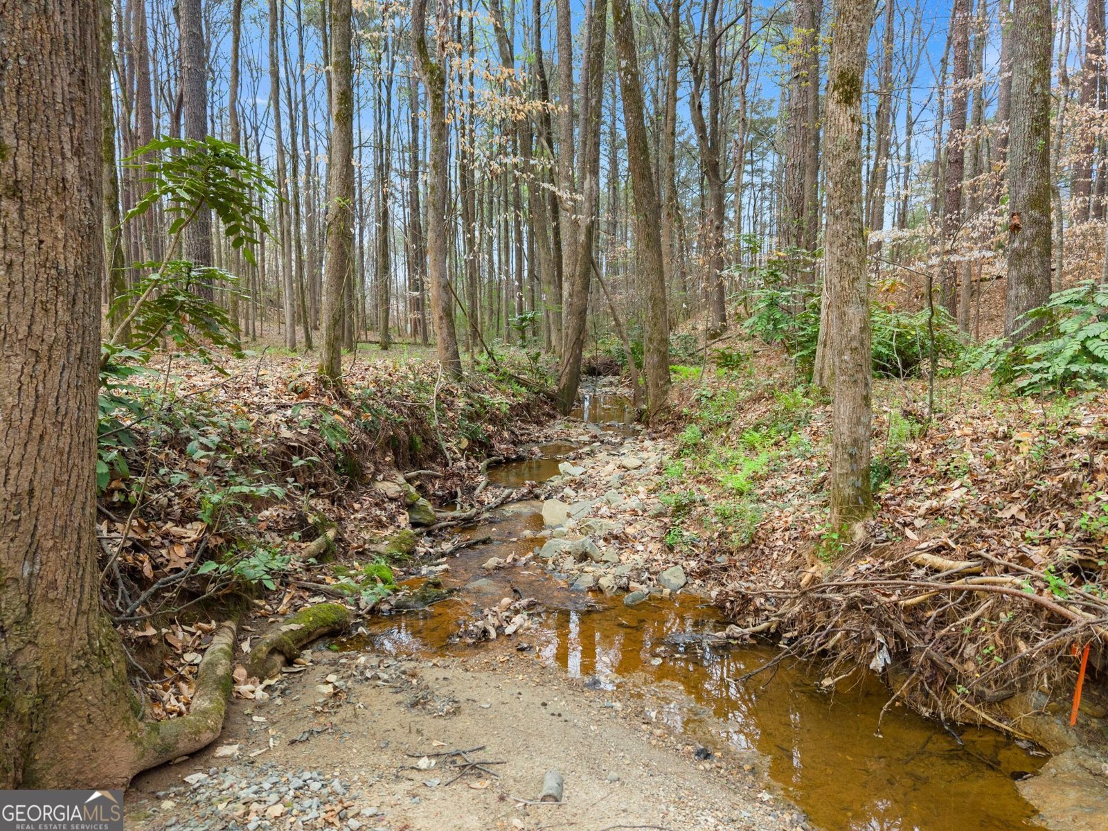 2195 Maddox Road Buford - Photo 77