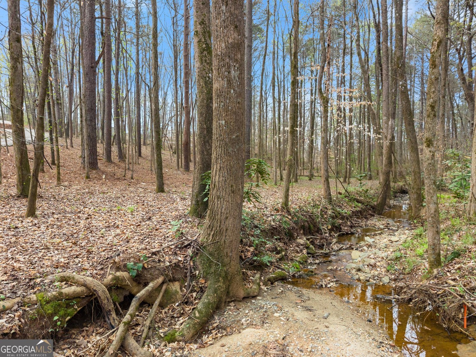 2195 Maddox Road Buford - Photo 78