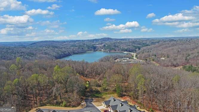 27 Summit View SPUR Dahlonega - Photo 54