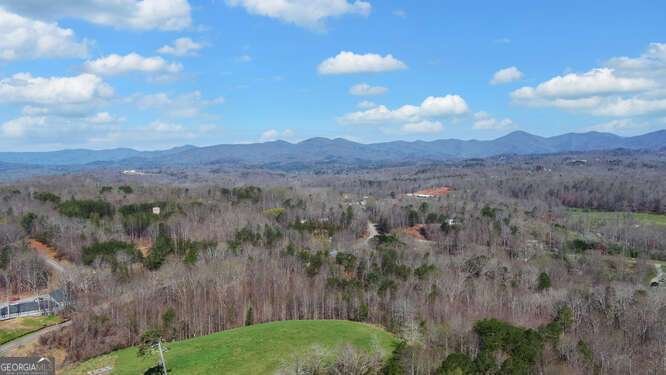 27 Summit View SPUR Dahlonega - Photo 58