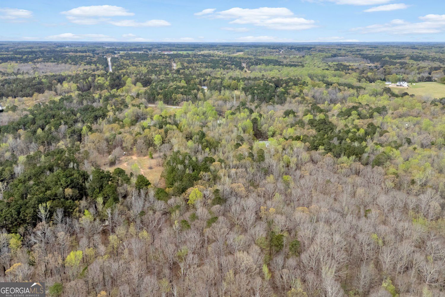 857 Cooper Road Social Circle - Photo 83