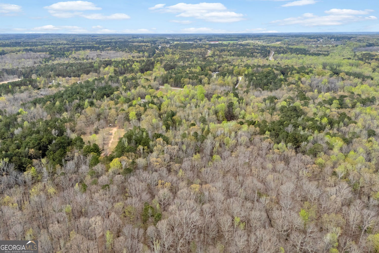 857 Cooper Road Social Circle - Photo 84