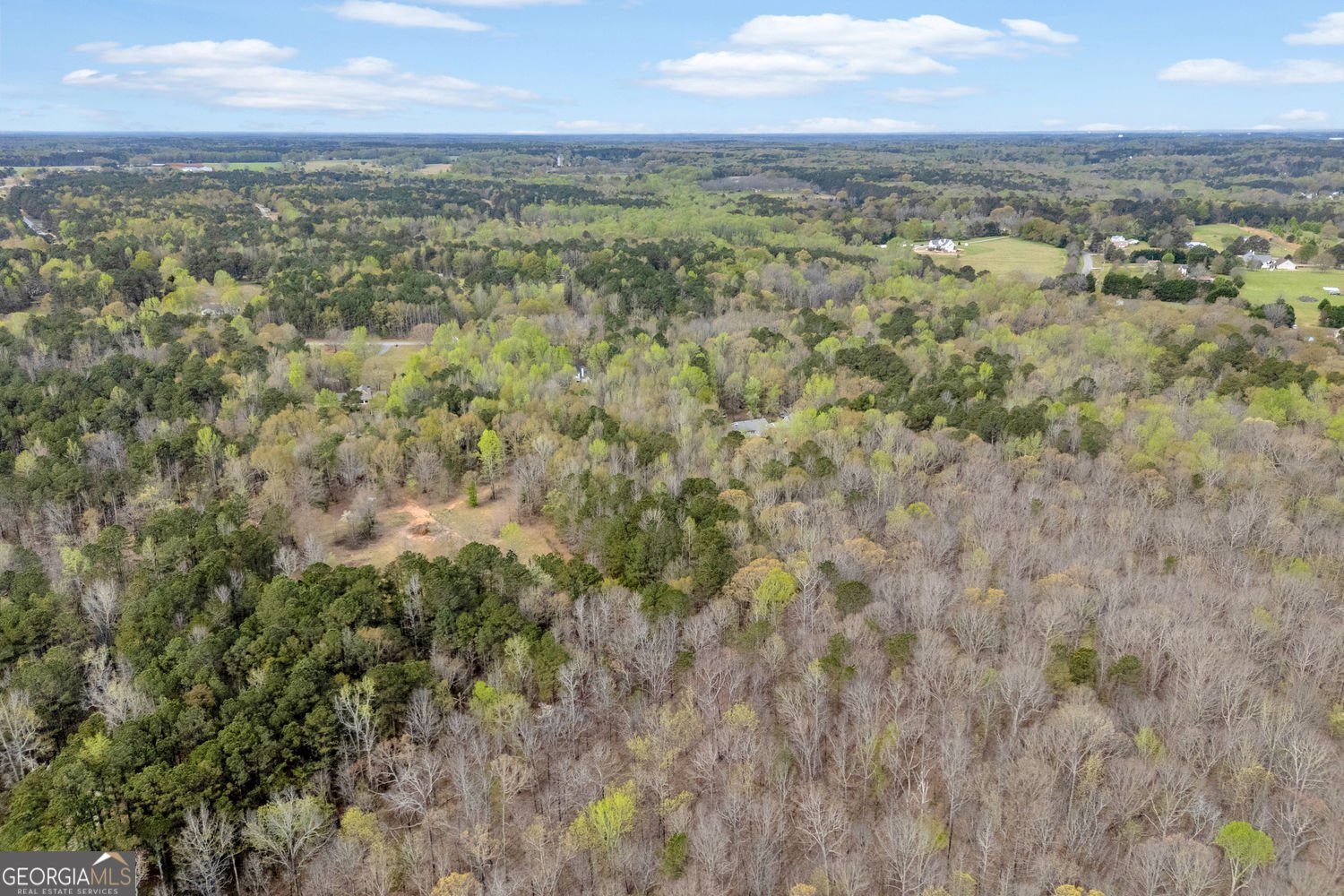 857 Cooper Road Social Circle - Photo 86