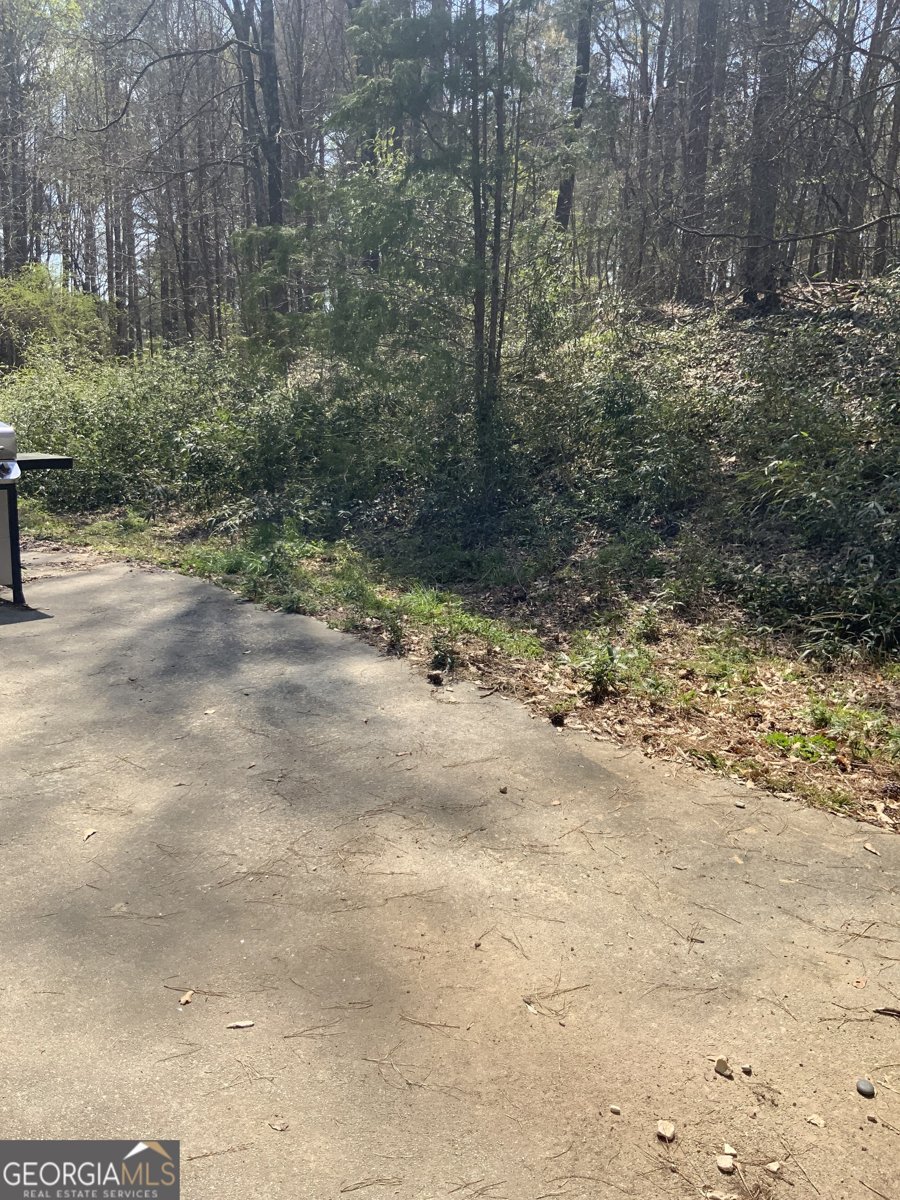 4370 Atha Circle Loganville - Photo 7