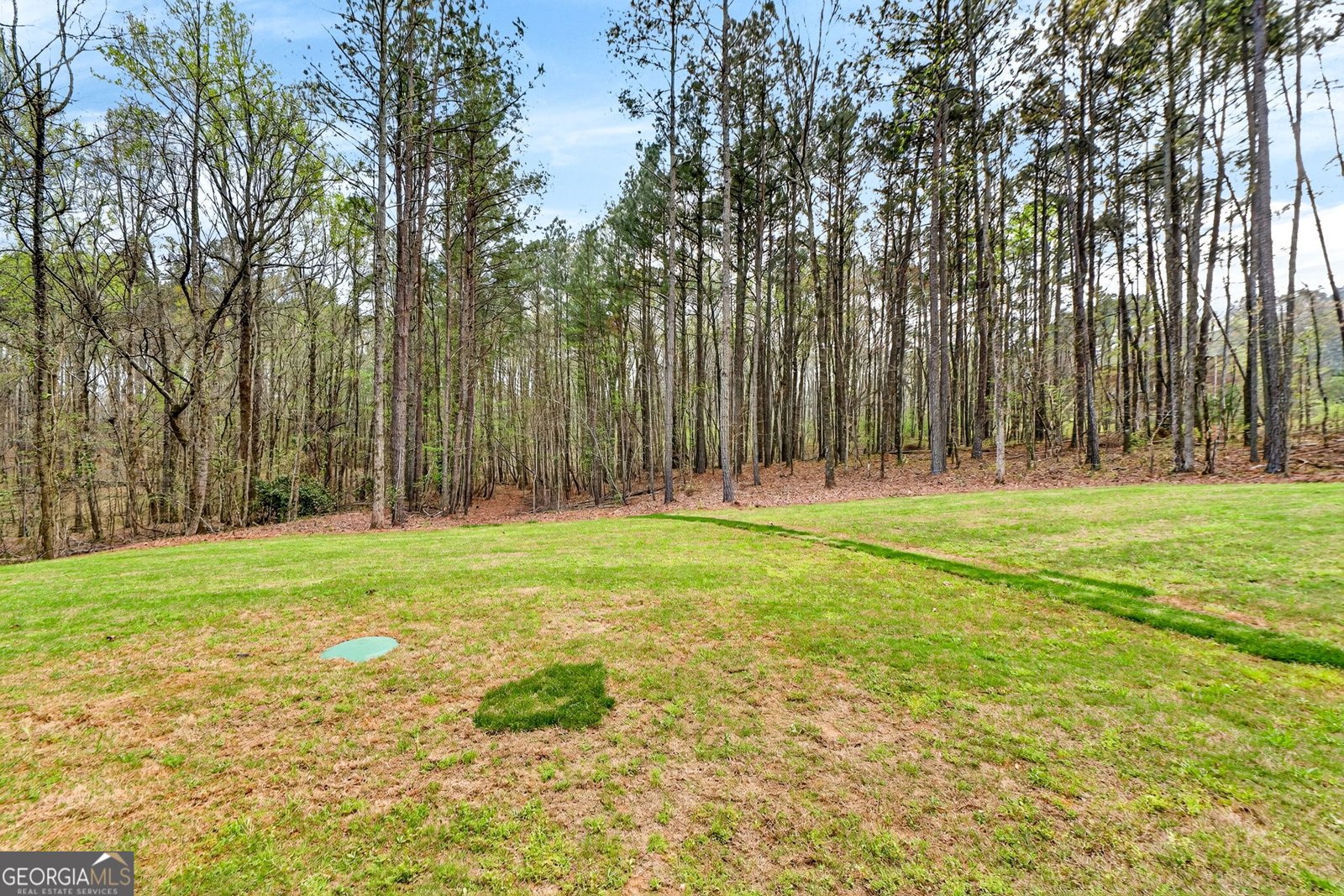 150 Wilson Drive Mcdonough - Photo 50