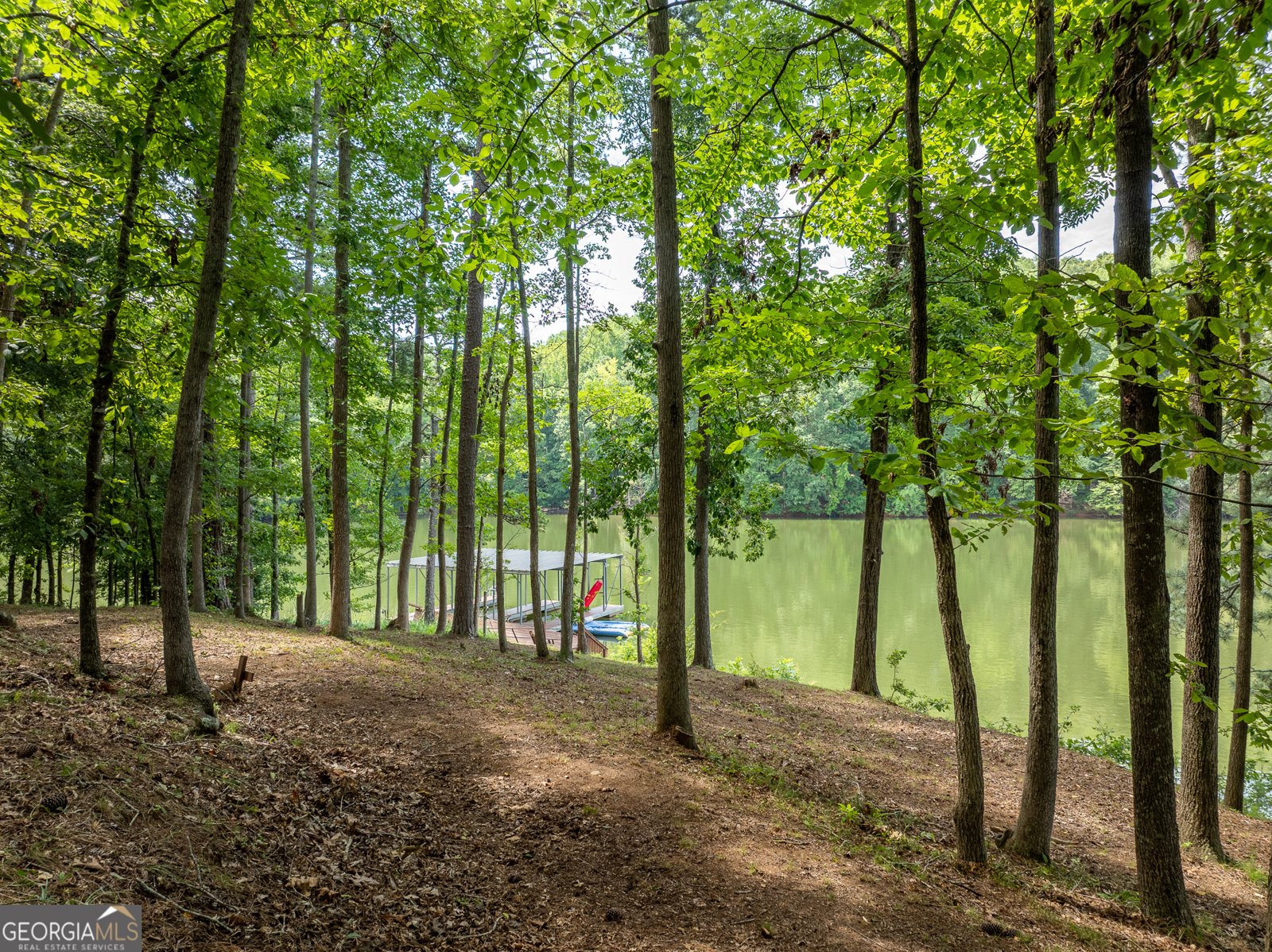 452 Brookwood Drive Dawsonville - Photo 59