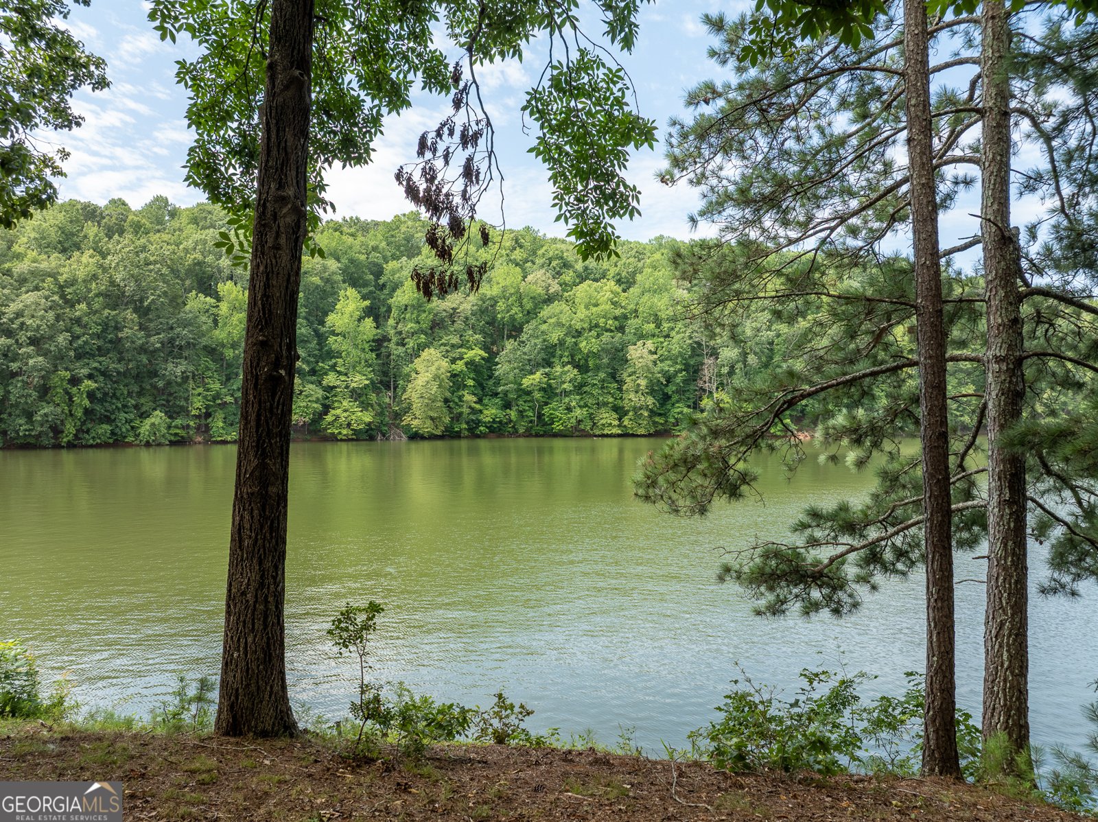 452 Brookwood Drive Dawsonville - Photo 62