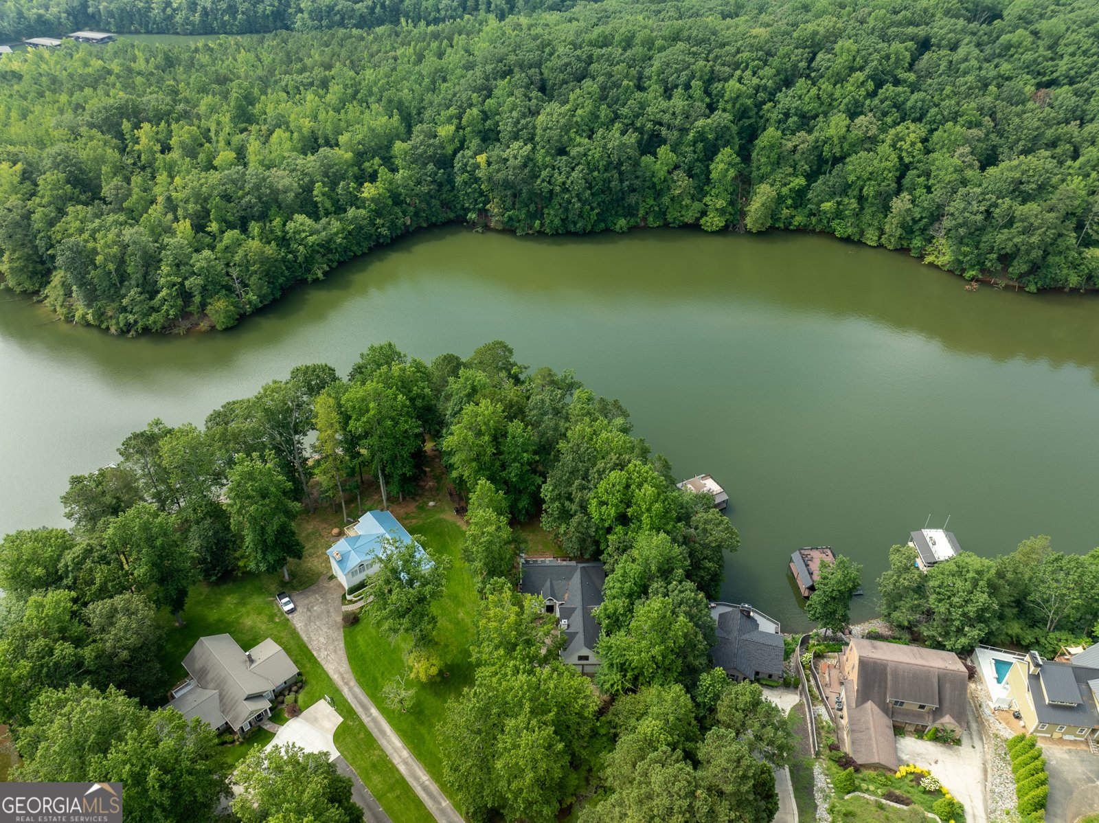 452 Brookwood Drive Dawsonville - Photo 63