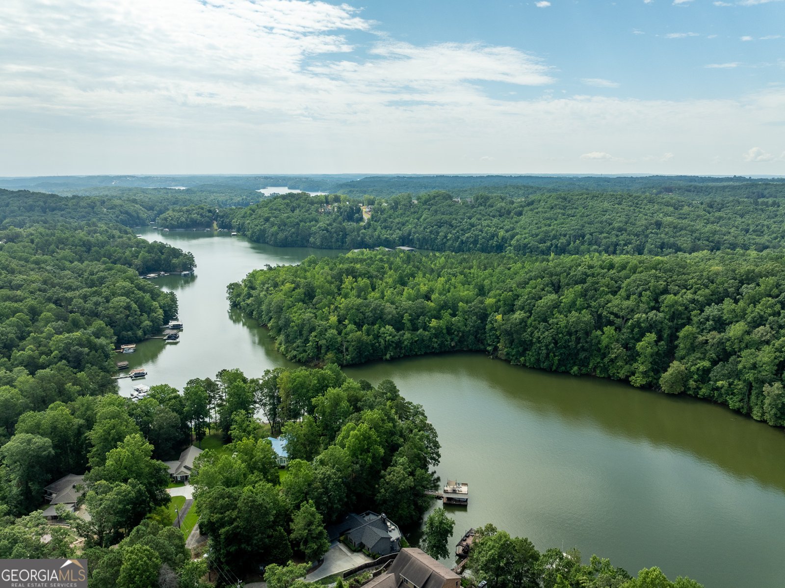 452 Brookwood Drive Dawsonville - Photo 65