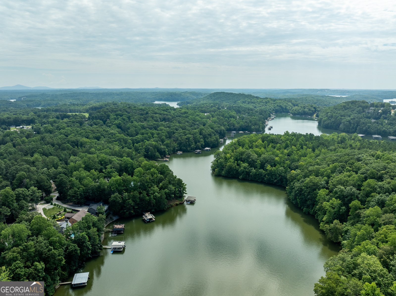 452 Brookwood Drive Dawsonville - Photo 66