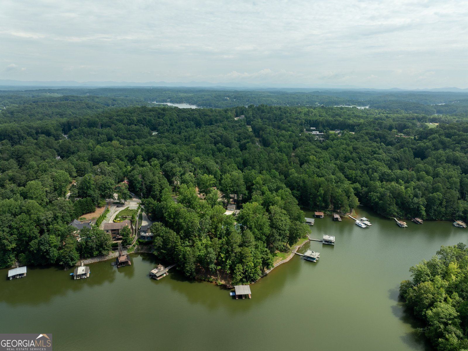 452 Brookwood Drive Dawsonville - Photo 67