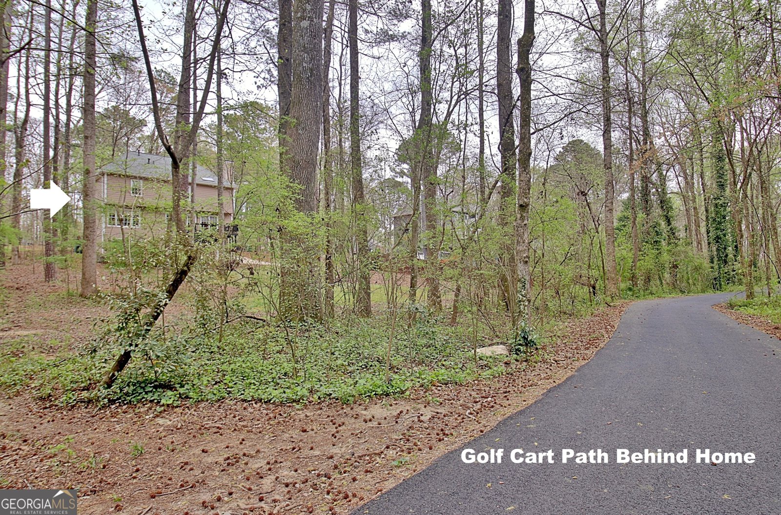 321 Walnut Grove Road Peachtree City - Photo 75