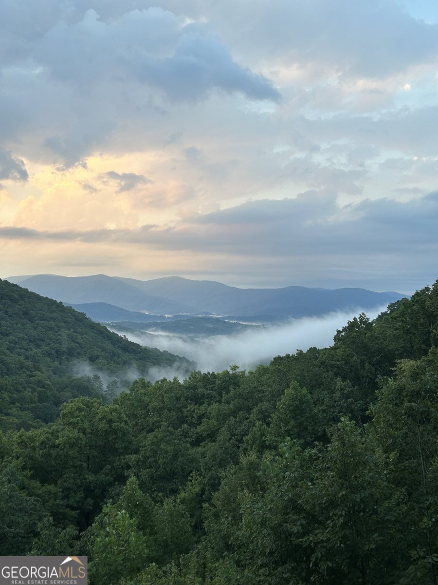 161 Cub Trail Cherry Log - Photo 56