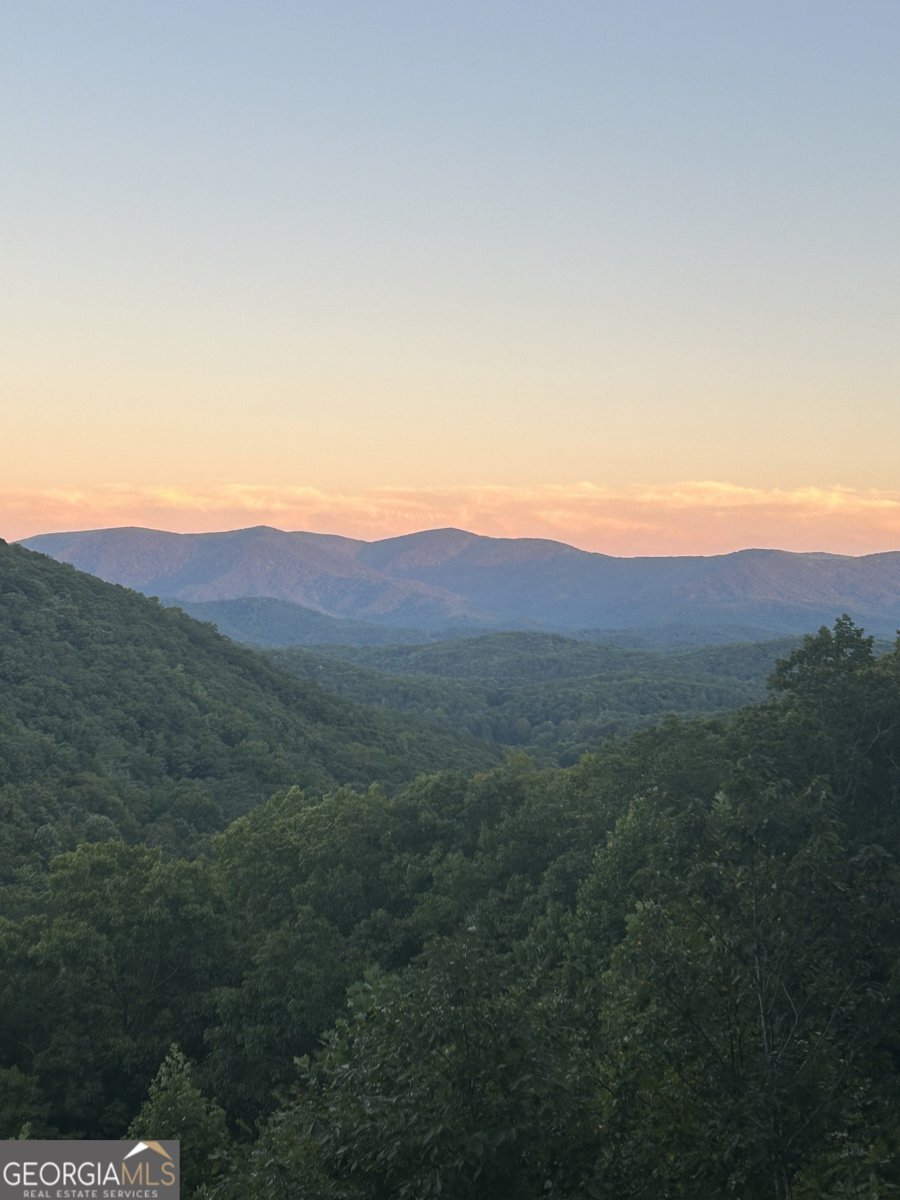 161 Cub Trail Cherry Log - Photo 58