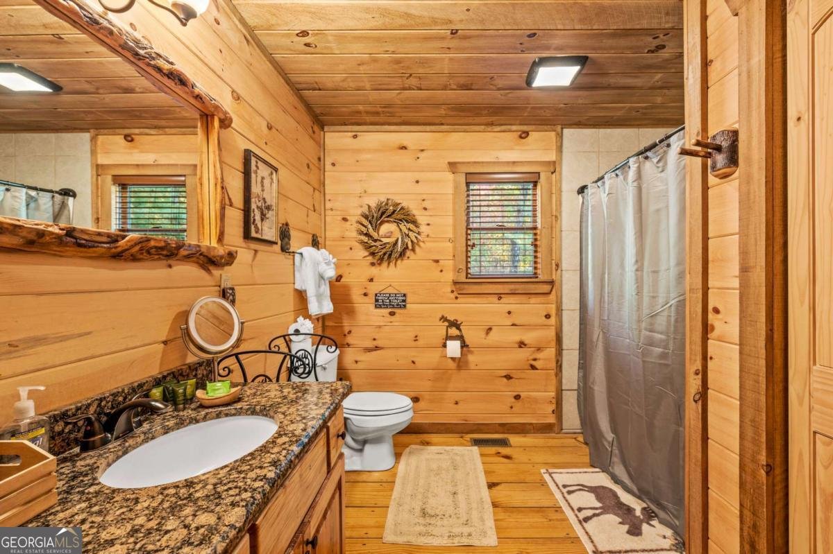 222 Brooks Ridge Road Mineral Bluff - Photo 22