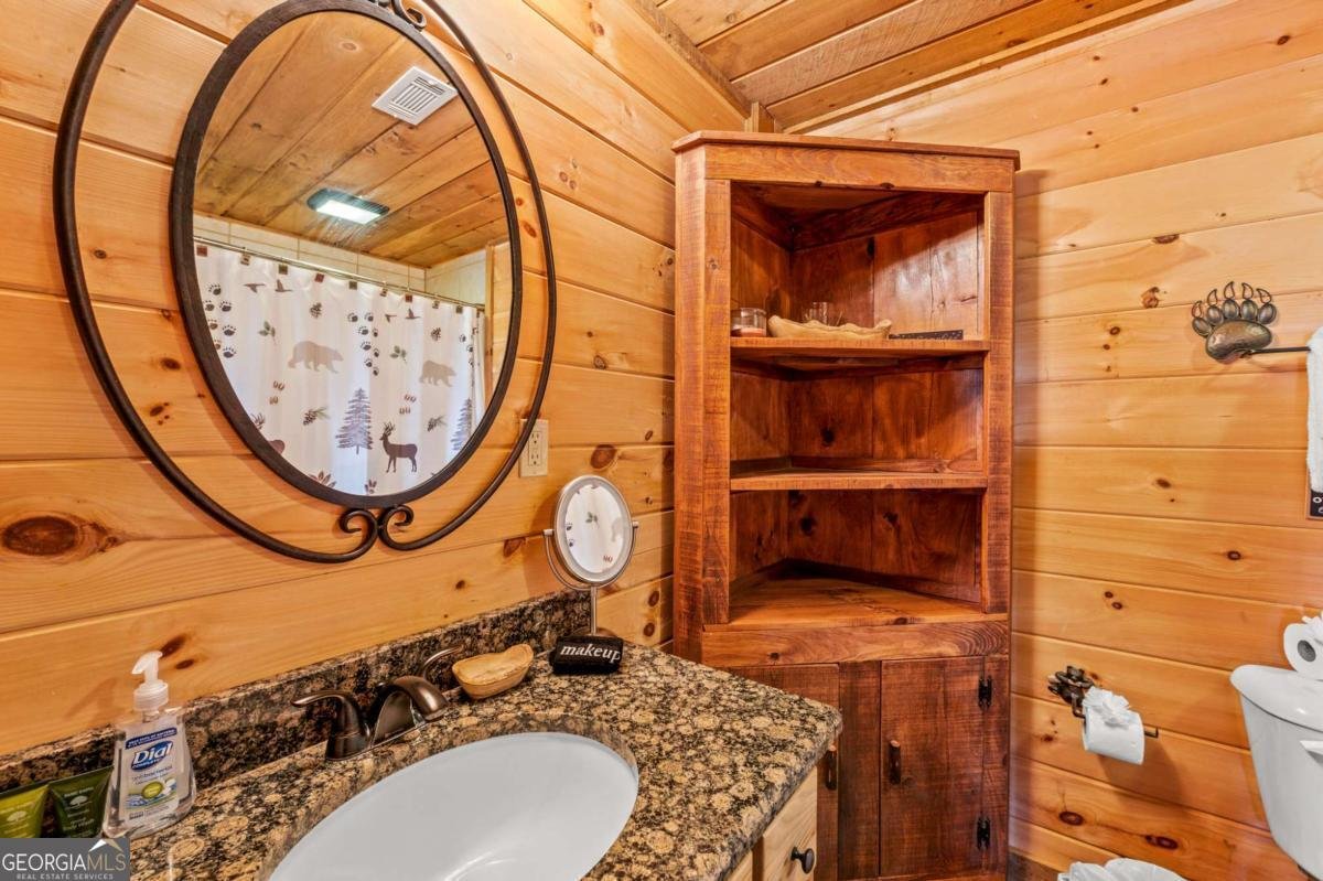 222 Brooks Ridge Road Mineral Bluff - Photo 39