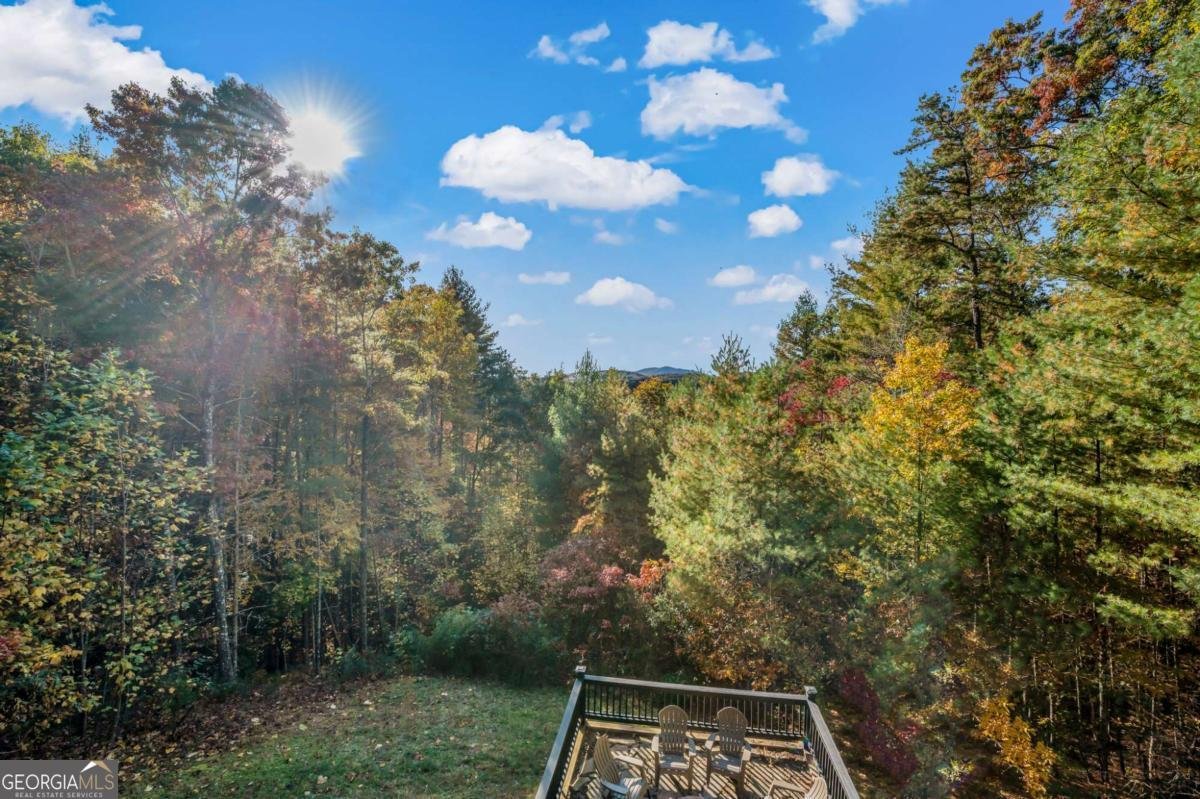 222 Brooks Ridge Road Mineral Bluff - Photo 40