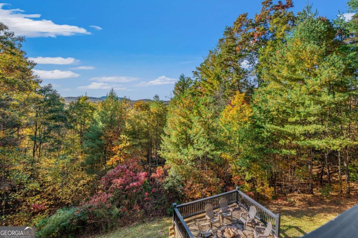 222 Brooks Ridge Road Mineral Bluff - Photo 43