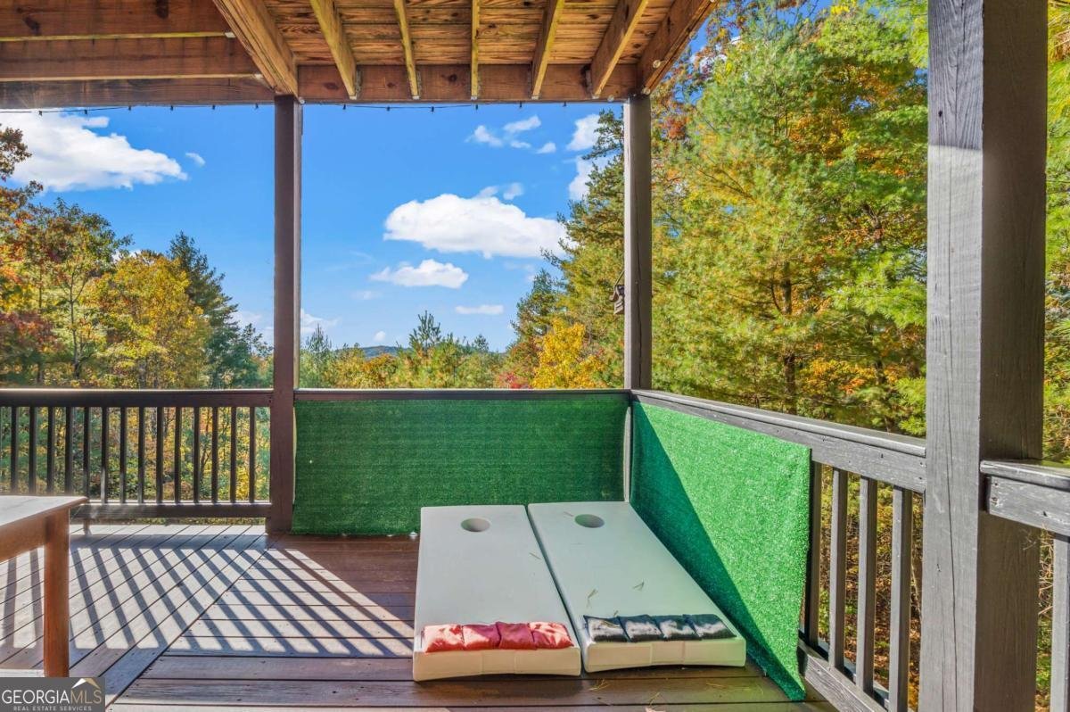 222 Brooks Ridge Road Mineral Bluff - Photo 44