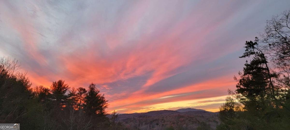 222 Brooks Ridge Road Mineral Bluff - Photo 49