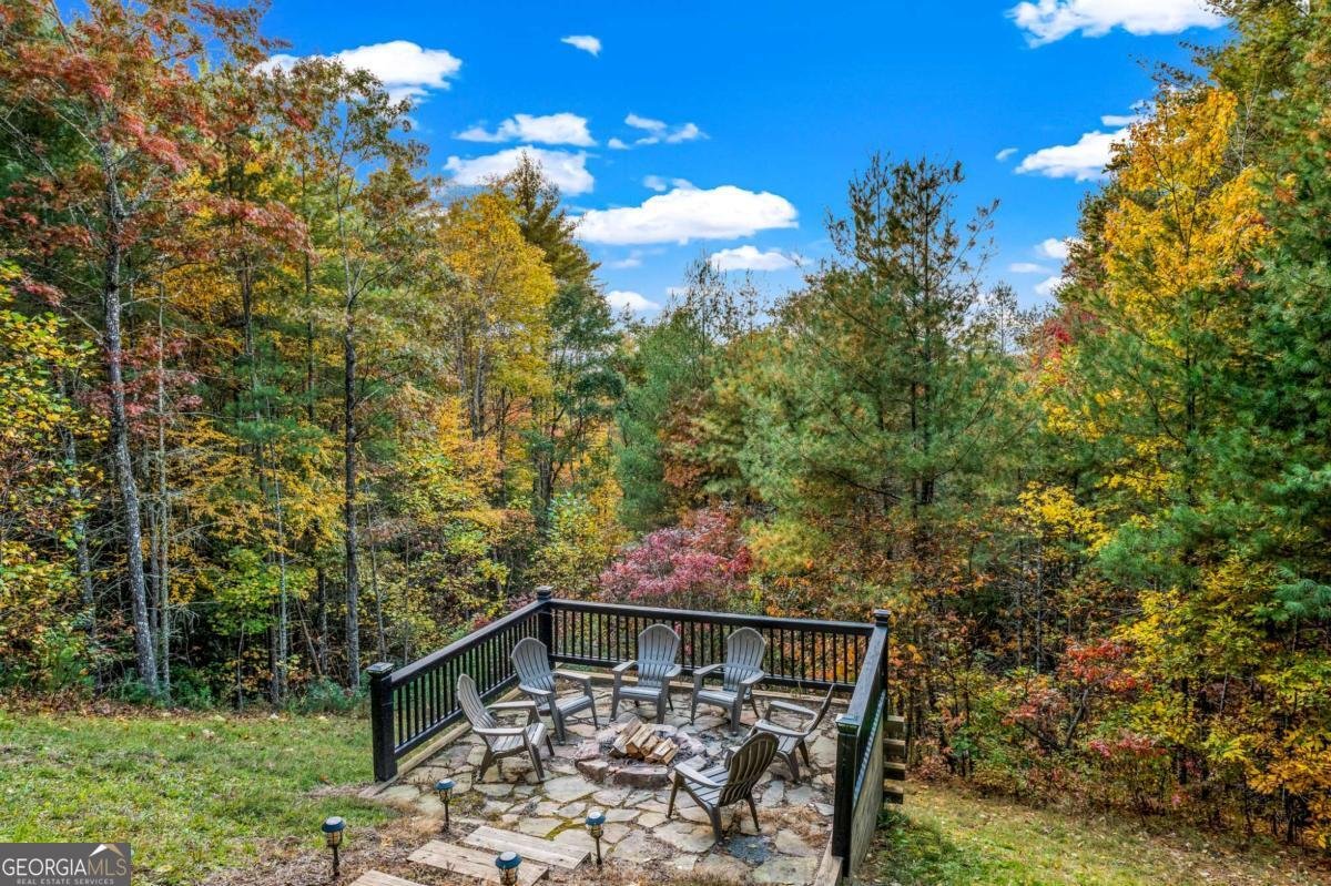 222 Brooks Ridge Road Mineral Bluff - Photo 53