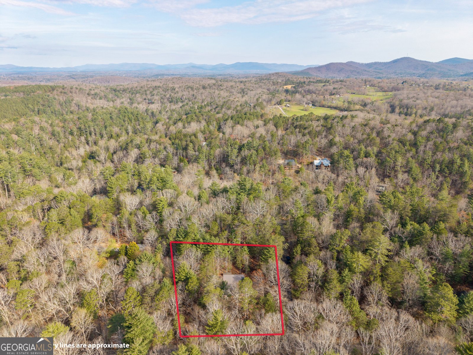 19 Blackberry Falls Lane Ellijay - Photo 33