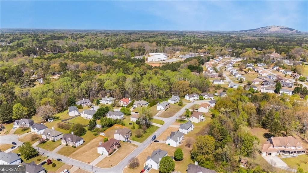 5944 Duren Meadows Drive Lithonia - Photo 50