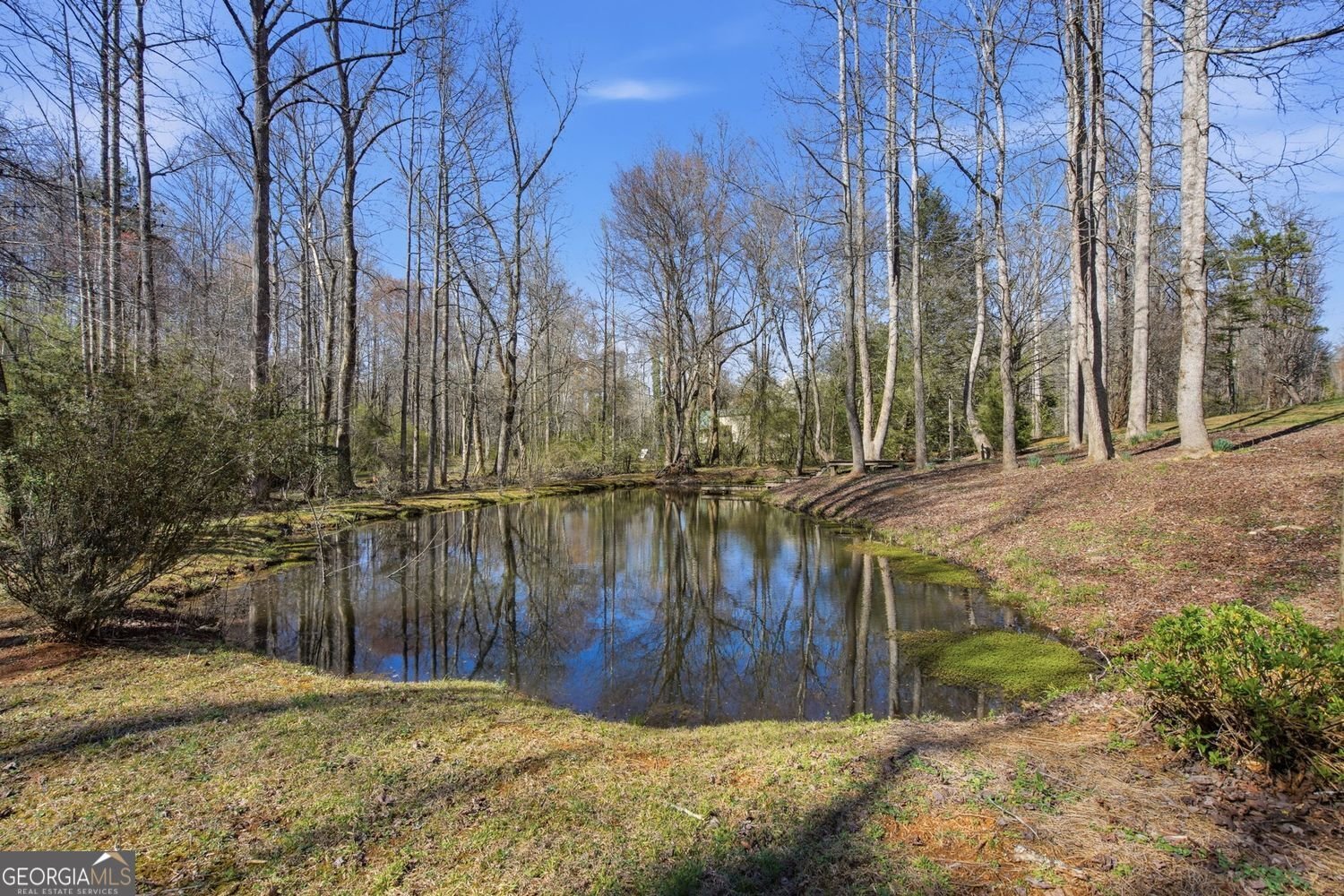1852 Oak Grove Road Dahlonega - Photo 15