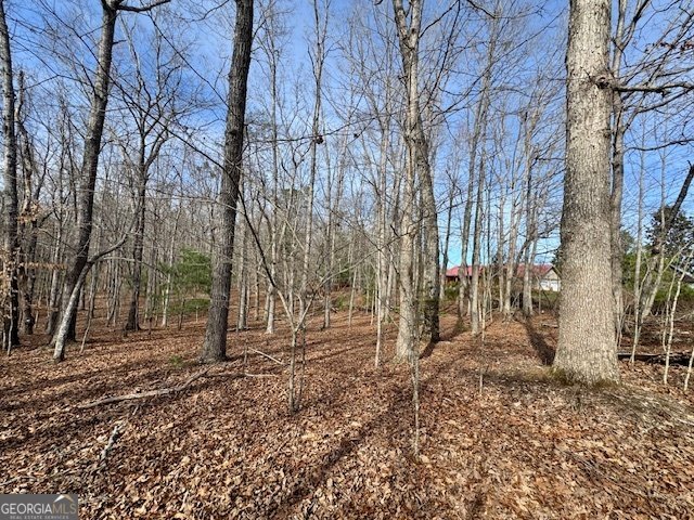 205 Oak Ridge Road Morganton - Photo 58