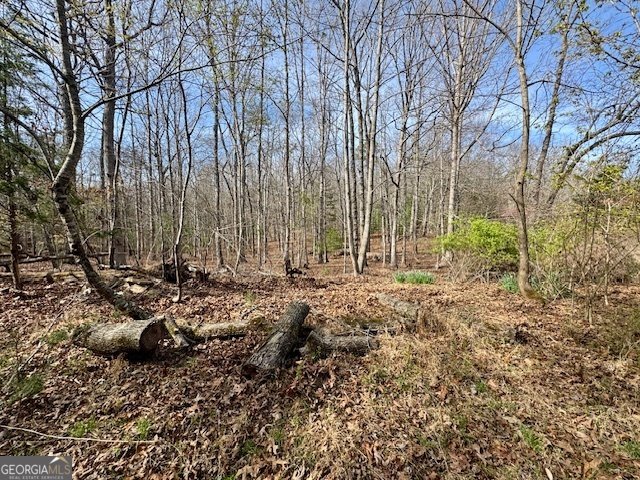 205 Oak Ridge Road Morganton - Photo 59