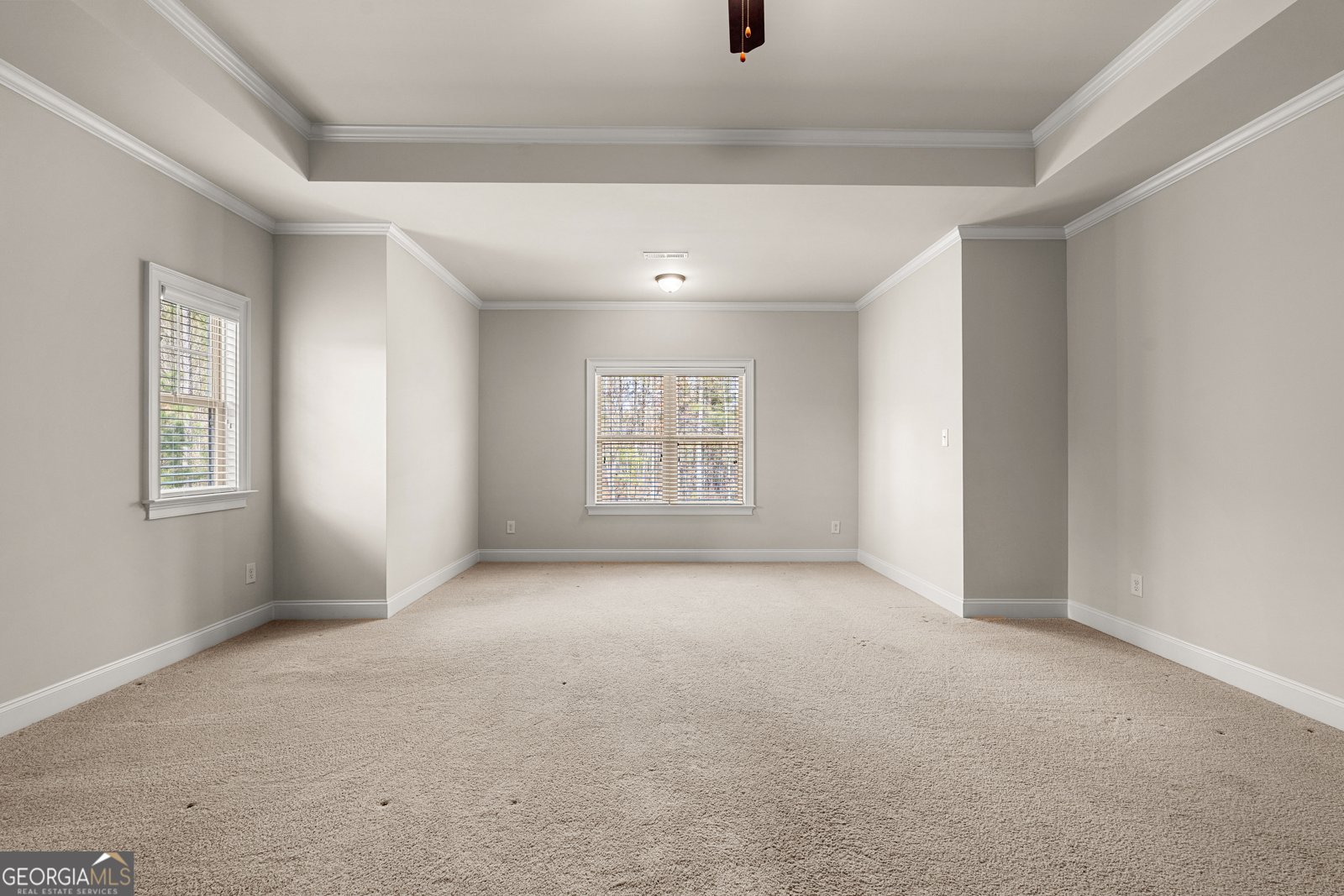 155 Southmill Lane Senoia - Photo 38