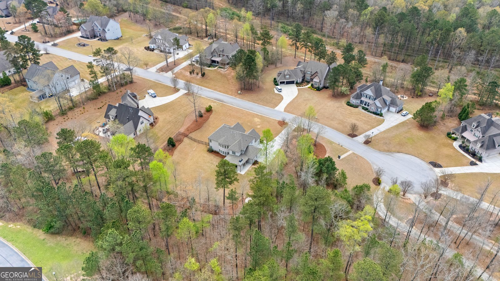 155 Southmill Lane Senoia - Photo 59