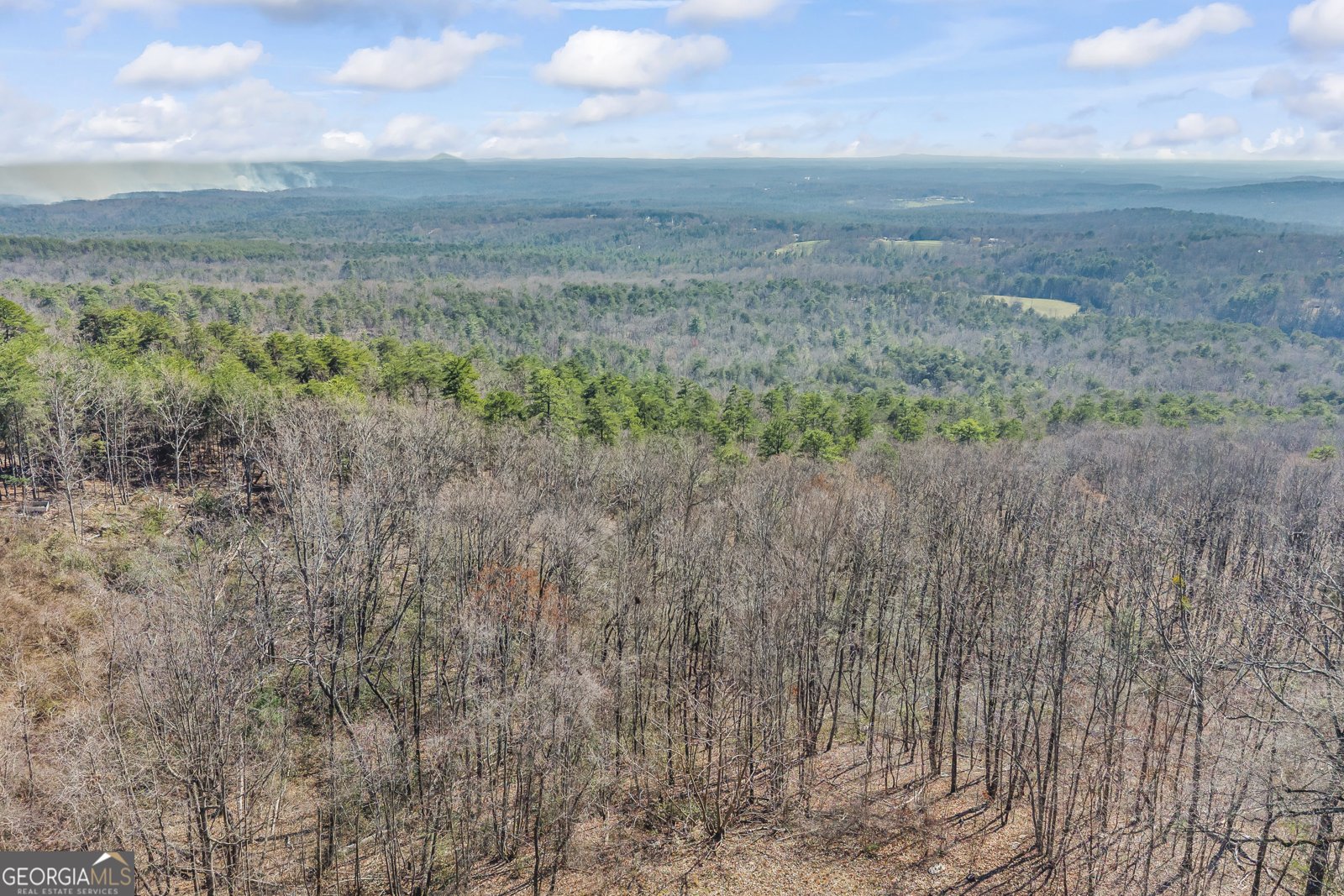 929 Hickory Nut Mountain Road Clarkesville - Photo 59
