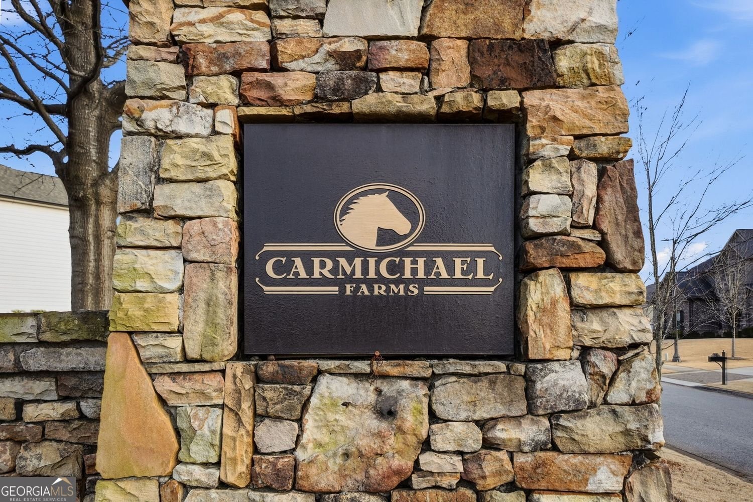 602 Trotter Way Canton - Photo 88